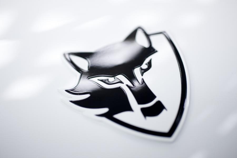Логотип e-Wolf e-1 2009 года  (фото 7 из 36)